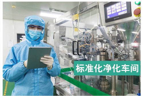 家庭消毒利器 75度医用酒精与84消毒液的正确选择与使用指南